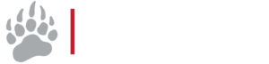 B6